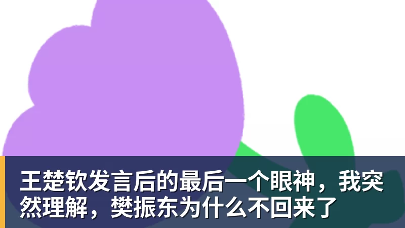 王楚钦发言后的最后一个眼神，我突然理解，樊振东为什么不回来了