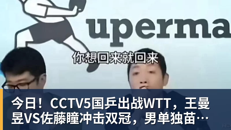 今日！CCTV5国乒出战WTT，王曼昱VS佐藤瞳冲击双冠，男单独苗周启豪PK松岛辉空